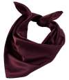 03205 Tara NEOBLU Tara Satin Scarf deep burgundy colour image